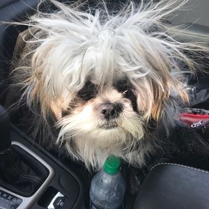 Meet your Posher, Kerri